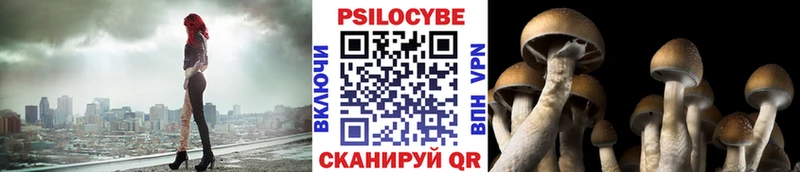 МЕГА онион  Вязьма  Псилоцибиновые грибы мицелий 
