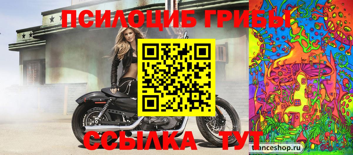 закладка  Галлюциногенные грибы мицелий  Вход с VPN  Вязьма  Галлюциногенные грибы GOLDEN TEACHER 